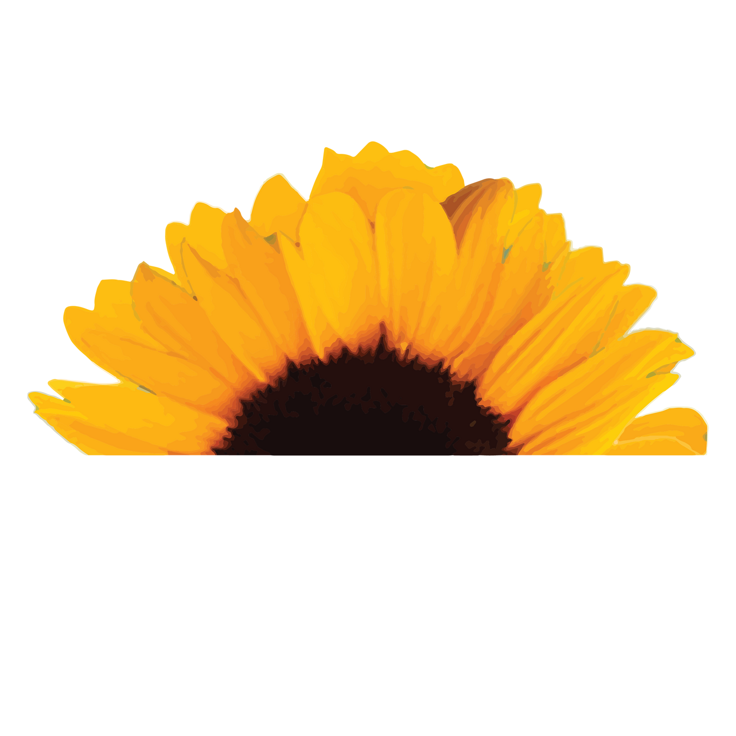 Sunflower Sublimation T-Shirts